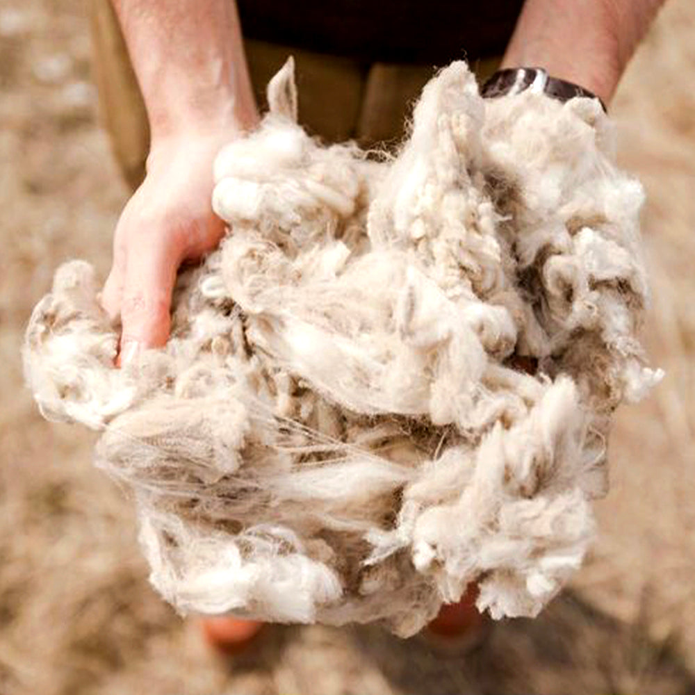 Organic Wool for Ankel High Socks Wairliving