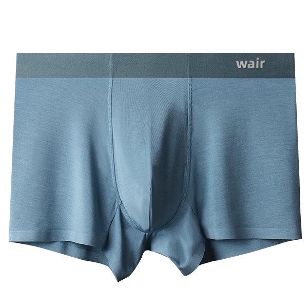 Wairliving Mens Soft Breathable Panties,Health To Wear,Smoot-Sierra Blueh