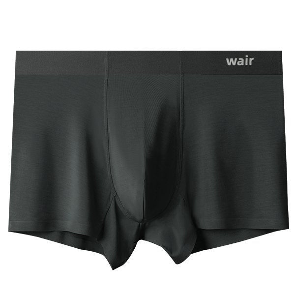 Wairliving Mens Ice Silk Underwear,Breathable Boxer Brief,Ultra Thin Lightweight Fitness Briefs -Jet Black